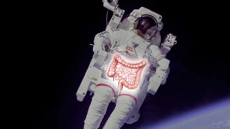 <b>宇航员为何在太空便秘?哥本哈根大学携手NASA揭示肠道菌群与微重力的</b>