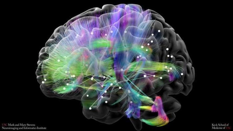 <b>寻找大脑的情绪开关:科学家解析双相障碍中的“回溯核转换细胞”</b>