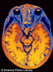 德科学家研究发现人类会存在虚假记忆