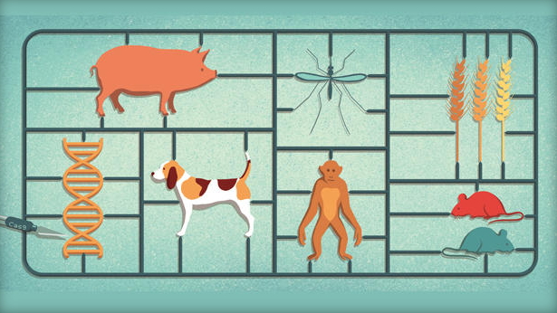 Science：2015年十大科学突破公布