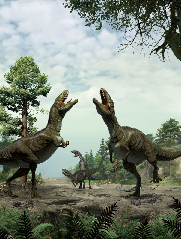 早在白垩纪，恐龙就在为爱奋斗了