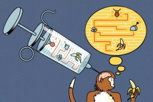 <b>不用眼睛也能“看”?科学家在猴脑中“注入”信息</b>